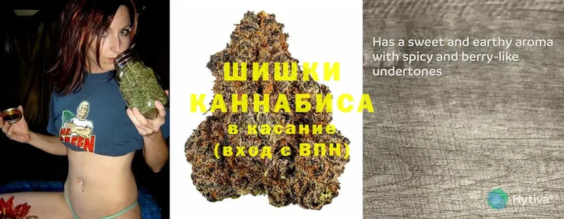 Марихуана SATIVA & INDICA  kraken ONION  Балабаново 